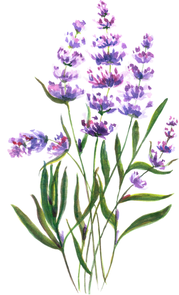 Lavander Flower Bouquet 